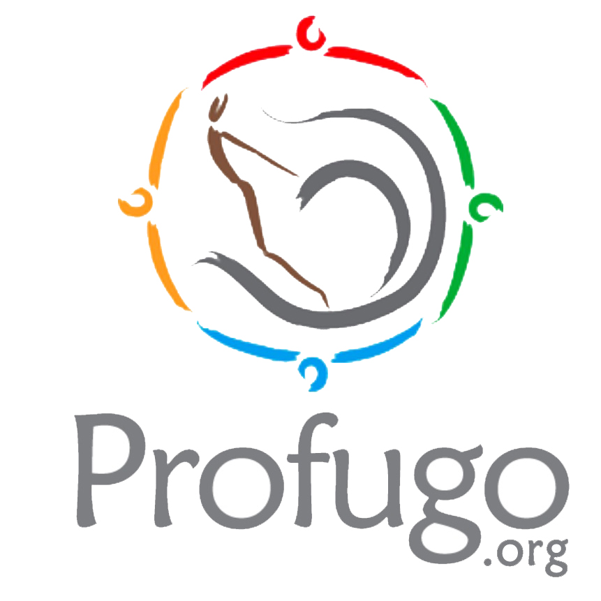 Profugo – A Global Neighborhood for a Better Quality of LIfe