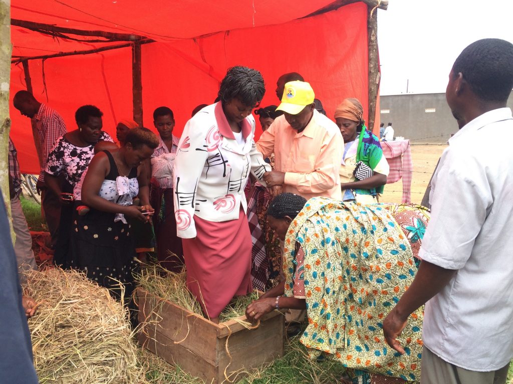 Men and Women in Nyakitunda have a training session on the importance of creating hay bales, allowing them to provide food for their cows during the dry season. 
